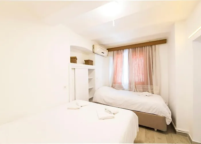 公寓 Beautiful 2br House W/ac 400meters Taksim Square *